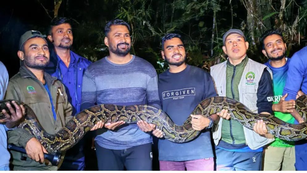 বাড়িতে ঢুকে পড়ল ১৪ ফুট লম্বা ৪০ কেজি ওজনের সাপ