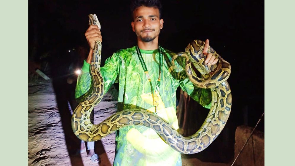 বাড়িতে মিলল ১২ কেজি ওজনের ৮ ফুট দৈর্ঘ্যের অজগর