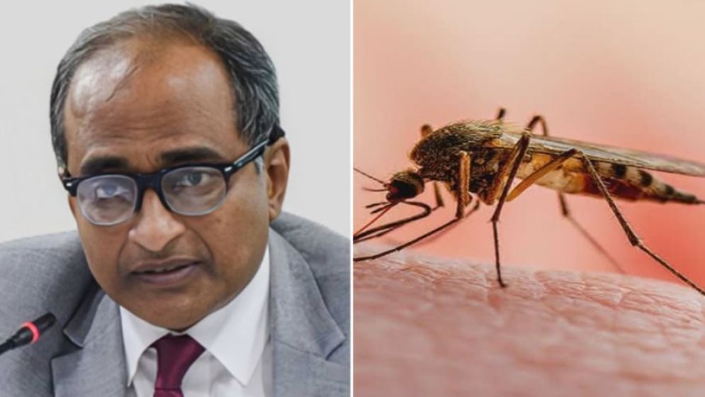 দেশে নয়, ক্যামেরুনে ম্যালেরিয়ায় আক্রান্ত হয়েছিলেন বাণিজ্য সচিব