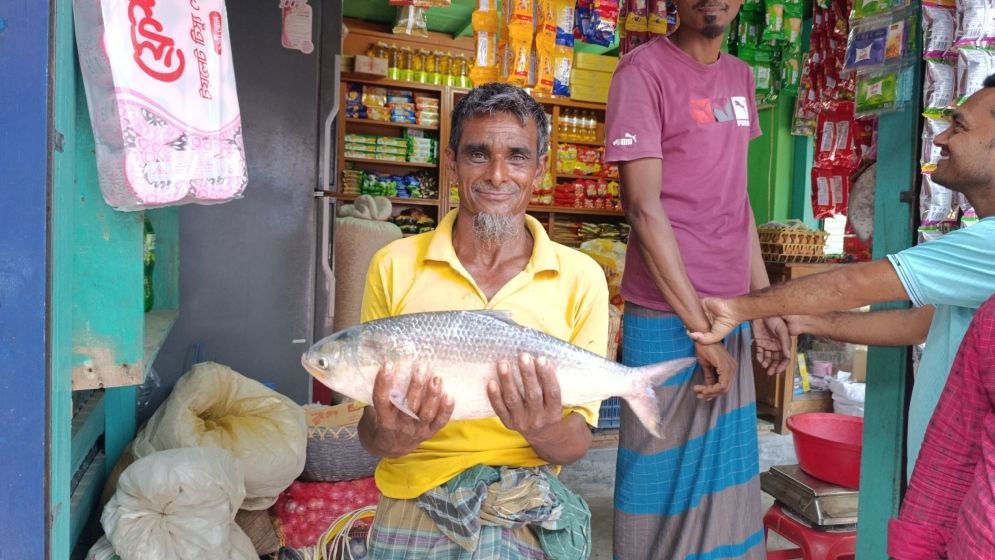দুই কেজির ইলিশ, বিক্রি হলো কত টাকায়?