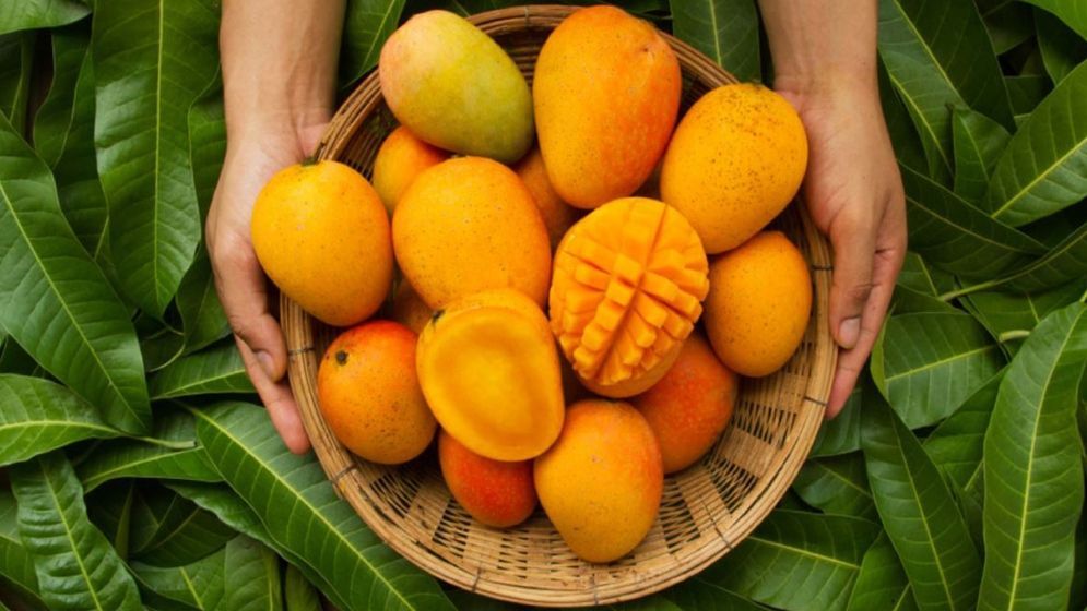 পাকা আম দীর্ঘদিন সংরক্ষণ করবেন যেভাবে