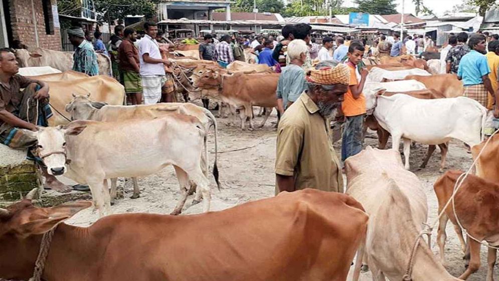 কোরবানি কবুল হয় না যাদের