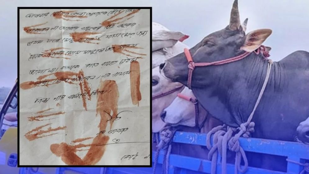 খামারিদের বাড়িতে বাড়িতে রক্তমাখা চিঠি—‘ডাকাতি করতে আসবো’