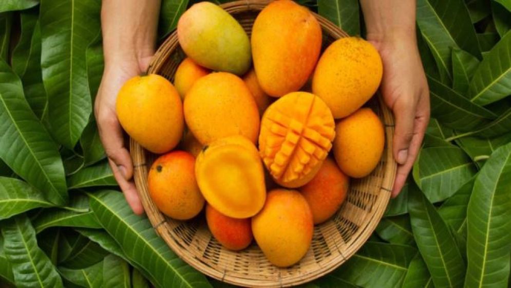 আমে কেমিক্যাল আছে কি-না বুঝবেন কীভাবে?