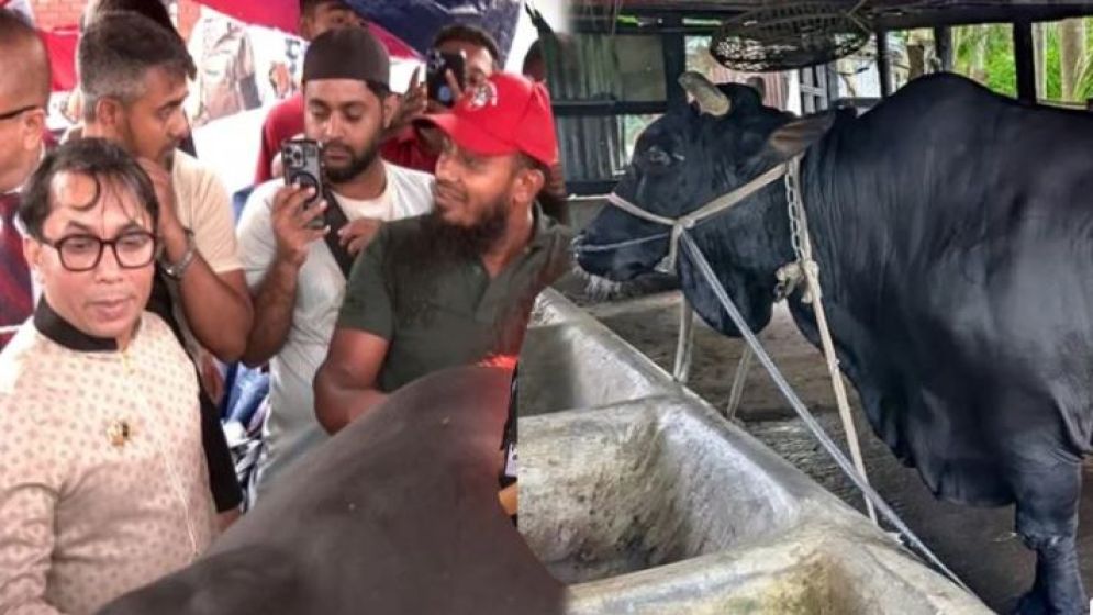 খালেদা জিয়াকে উপহার দেয়া কালো মানিক ২০ লাখে কিনলেন সিলেটের ফাহিম