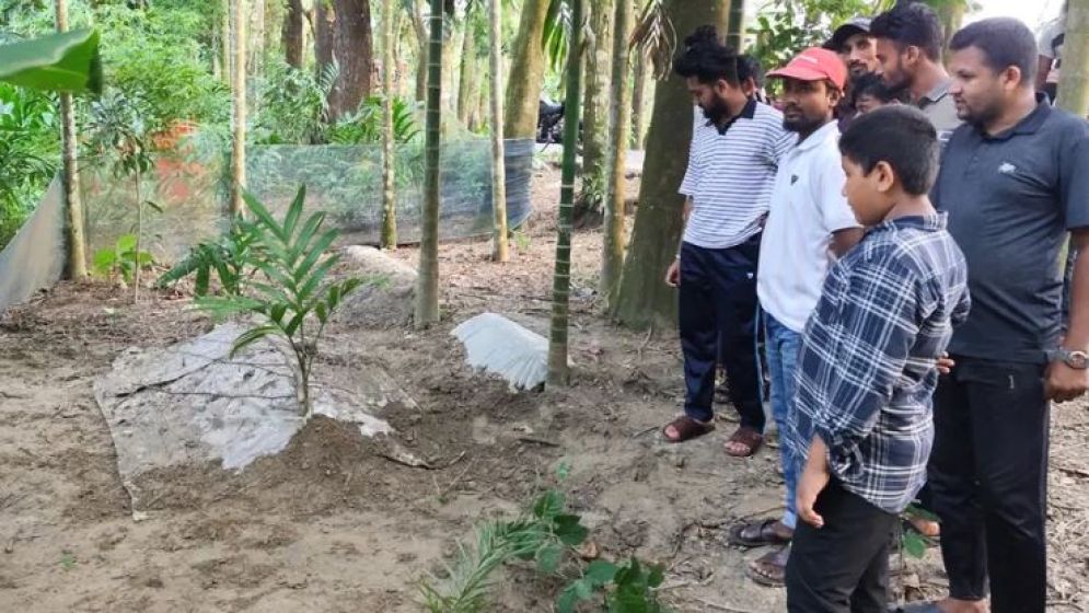 স্বপ্নে বলেছেন বেঁচে আছেন—  তরুণীর কবর খুঁড়লেন স্বজনরা