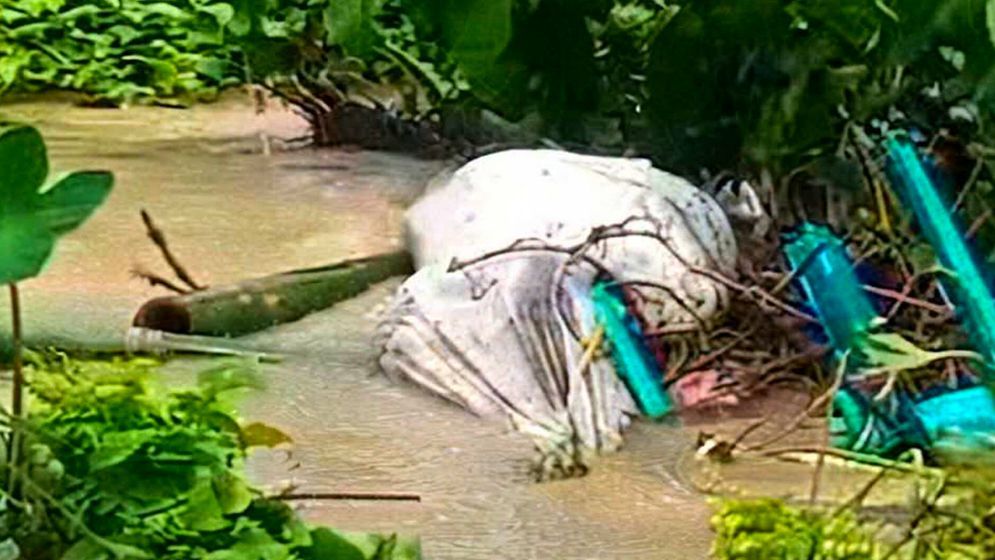 পানির স্রোতে কবরস্থানে ভেসে উঠল ৩ লাশ