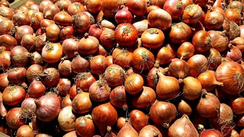 পেঁয়াজের কেজি একলাফে বেড়ে ৬০ টাকা