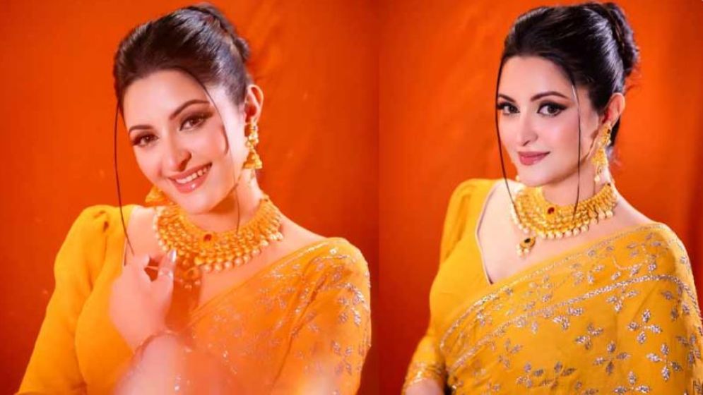 ফের বিয়ে করা আর মামলার বিষয়ে মুখ খুললেন পরীমনি