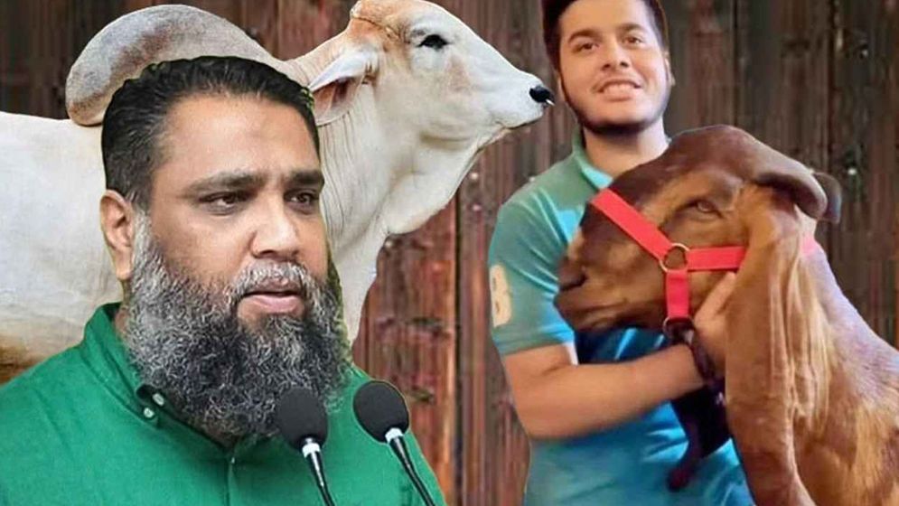 সাদিক অ্যাগ্রোর ইমরান গ্রেফতার
