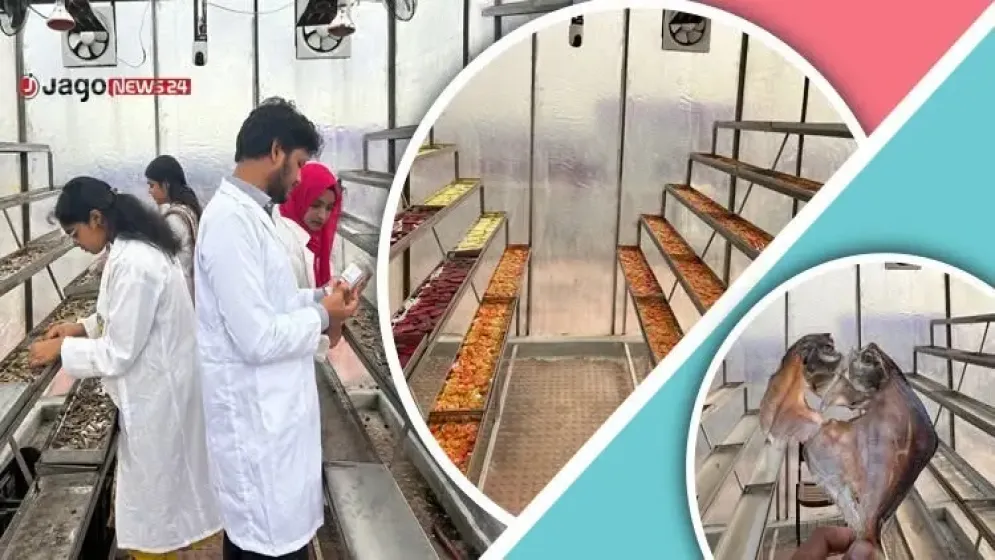 অ্যাপেই ‌‘শুকানো যাবে’ শুঁটকি