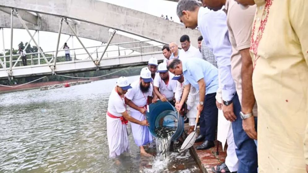 ক্রিসেন্ট লেকে প্রধানমন্ত্রীর পোনা অবমুক্তকরণে মরা মাছ