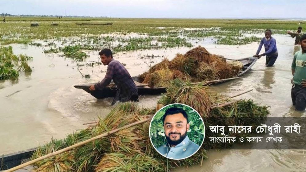 প্রকৃতি রক্ষা করেই হোক বিদ্যুৎ ও অবকাঠামো পরিকল্পনা