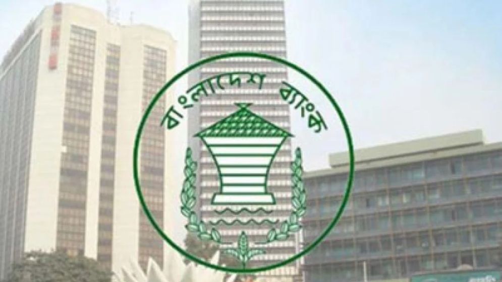 বিনা জামানতে ২০ লাখ টাকা দেবে বাংলাদেশ ব্যাংক, কীভাবে পাওয়া যাবে