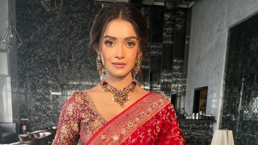 নতুন তথ্য দিলেন তানজিন তিশা